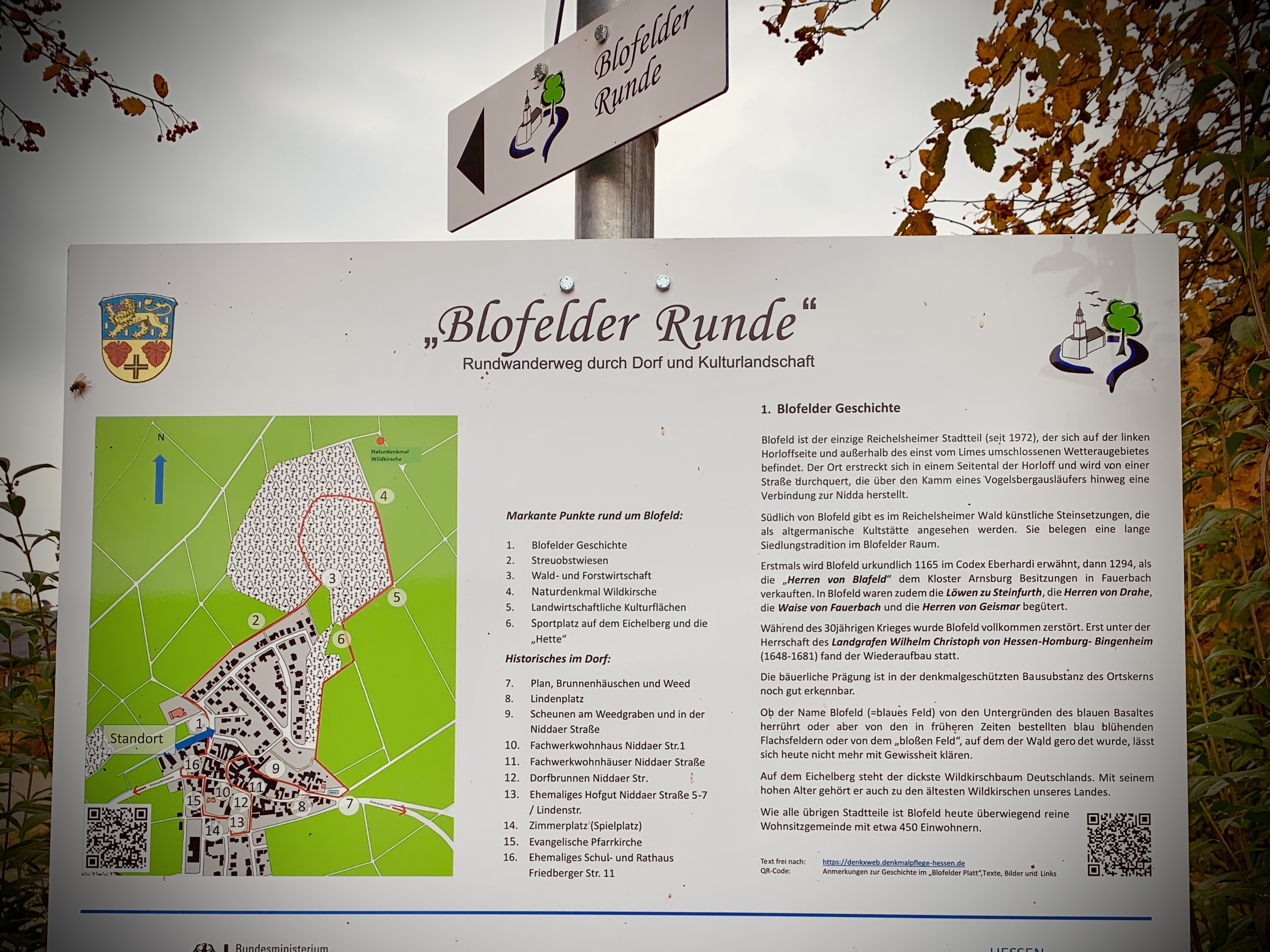 Blofelder Runde
